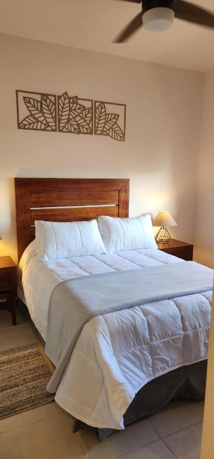 Suites Lomboy & Plaza San Jose del Cabo Luaran gambar